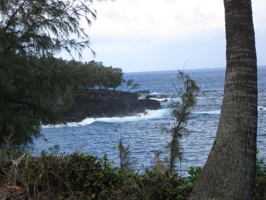 Coconut Palms Vacation Rental Near Lava Fields And Beaches Kehena Bagian luar foto
