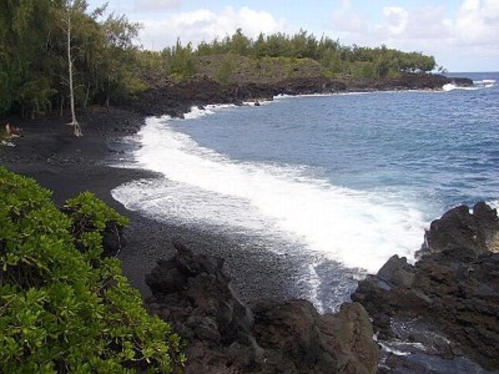 Coconut Palms Vacation Rental Near Lava Fields And Beaches Kehena Bagian luar foto