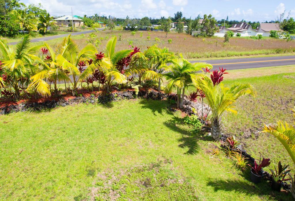 Coconut Palms Vacation Rental Near Lava Fields And Beaches Kehena Bagian luar foto