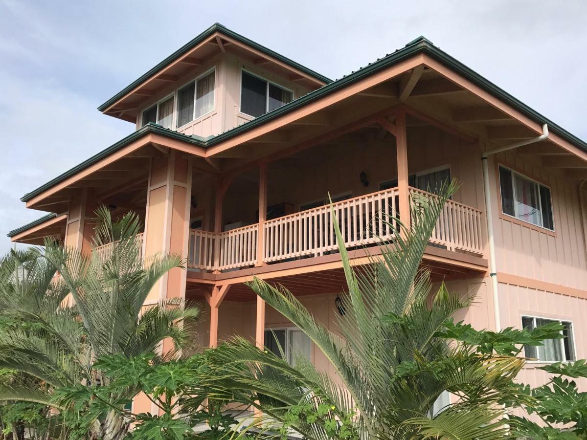 Coconut Palms Vacation Rental Near Lava Fields And Beaches Kehena Bagian luar foto