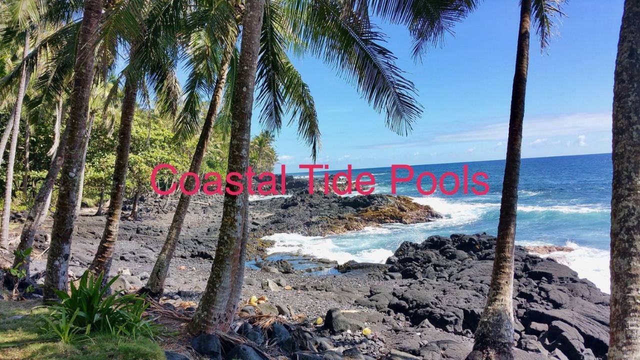 Coconut Palms Vacation Rental Near Lava Fields And Beaches Kehena Bagian luar foto
